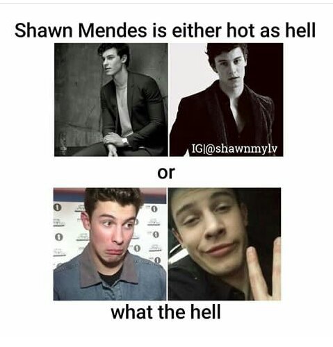 We Stan 😂😂🙋 | shawn mendes army Amino