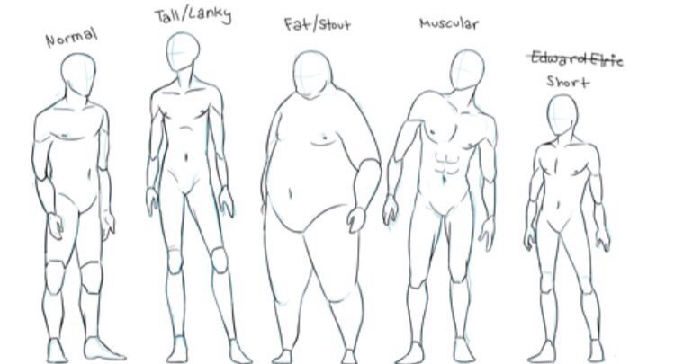 Male Body Types 