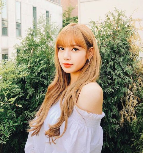 Lisa blackpink | Wiki | Asian Rolplay Amino