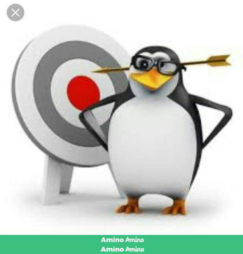 Pinguim Flechado Roblox Brasil Official Amino - ovo pinguim roblox