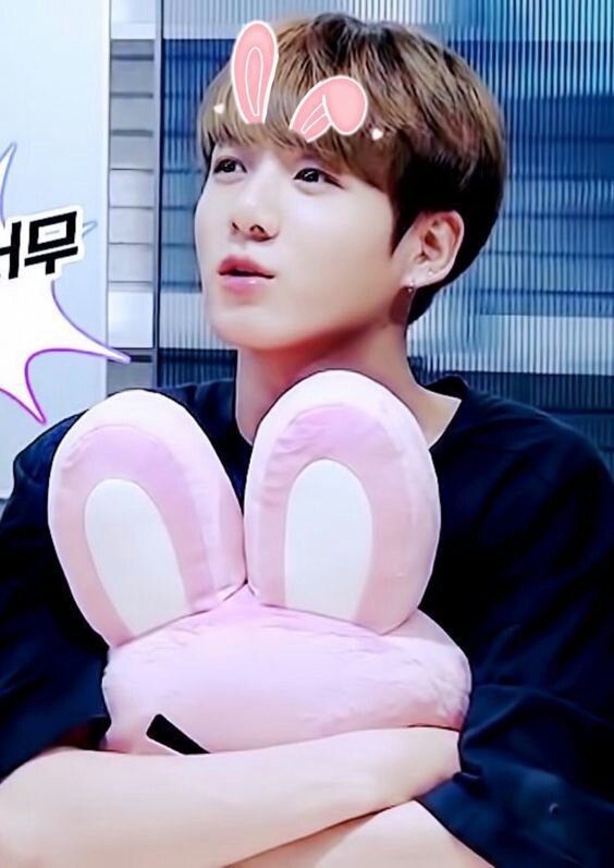 jungkook cooky pillow