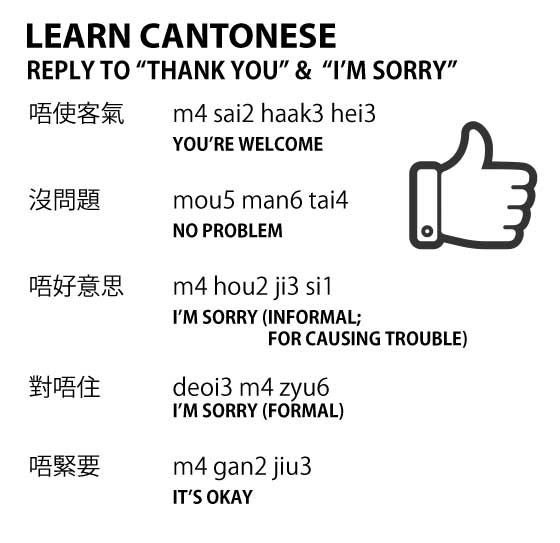 cantonese translator story