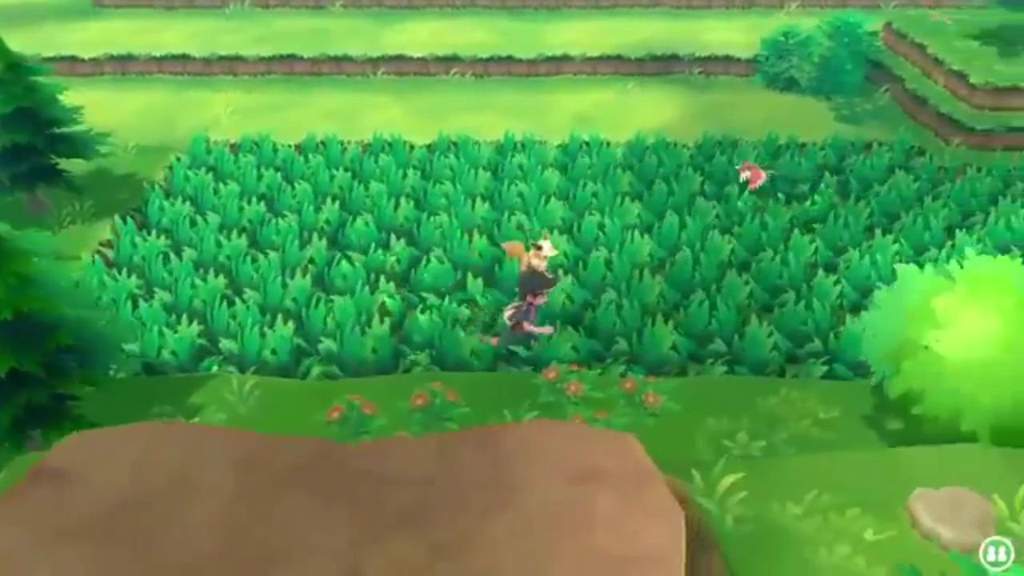 Double Shiny Catch Combo Let S Go Eevee Pokemon Amino