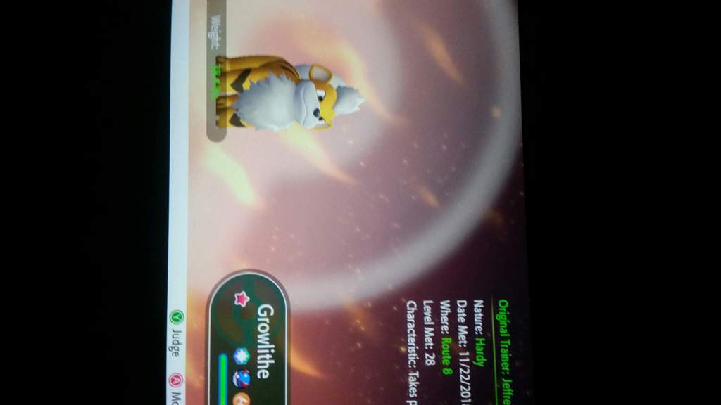 Got A Shiny Growlithe In Let S Go Pikachu Pokemon Amino