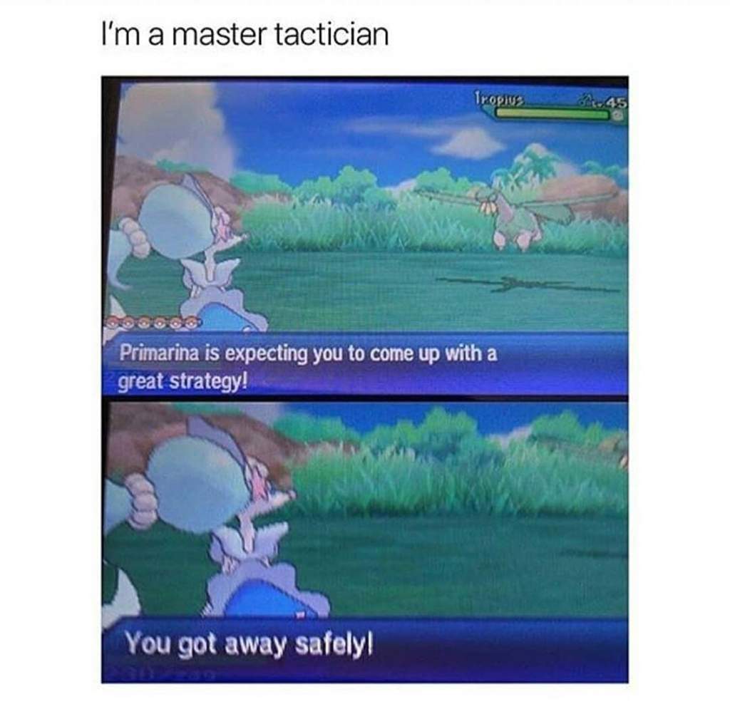 Pokemon Memes Pokémon Amino