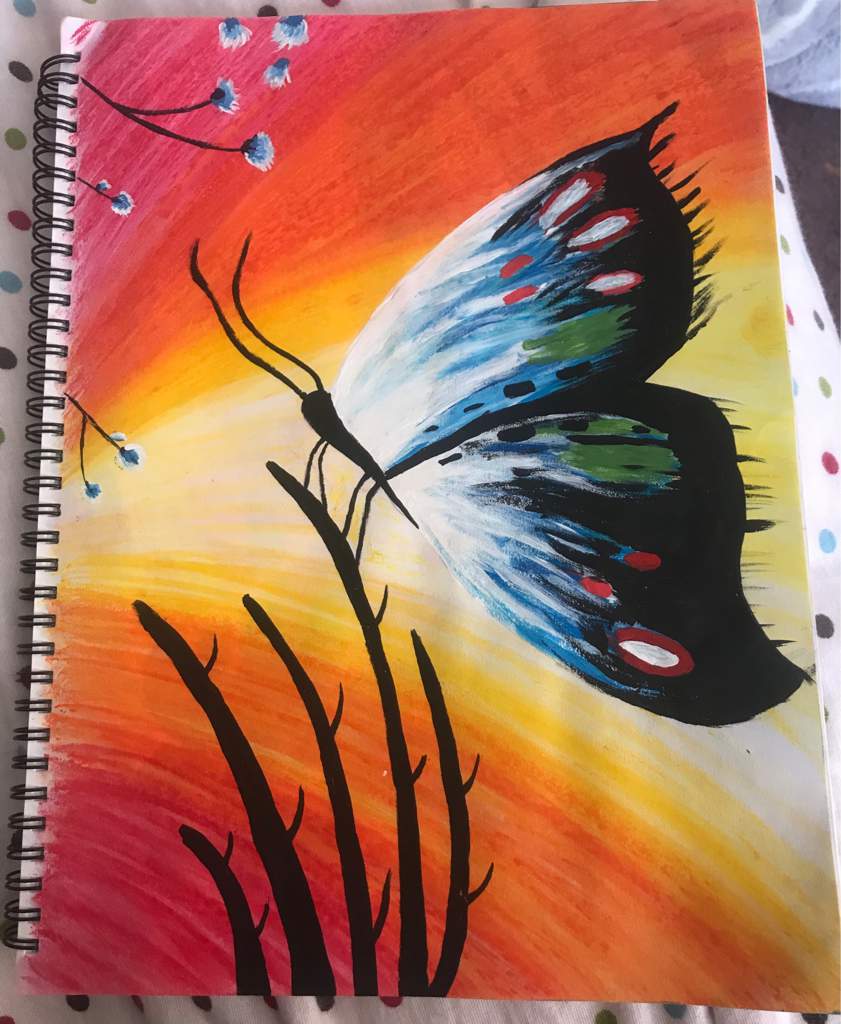 Butterfly Beginner Artist Amino