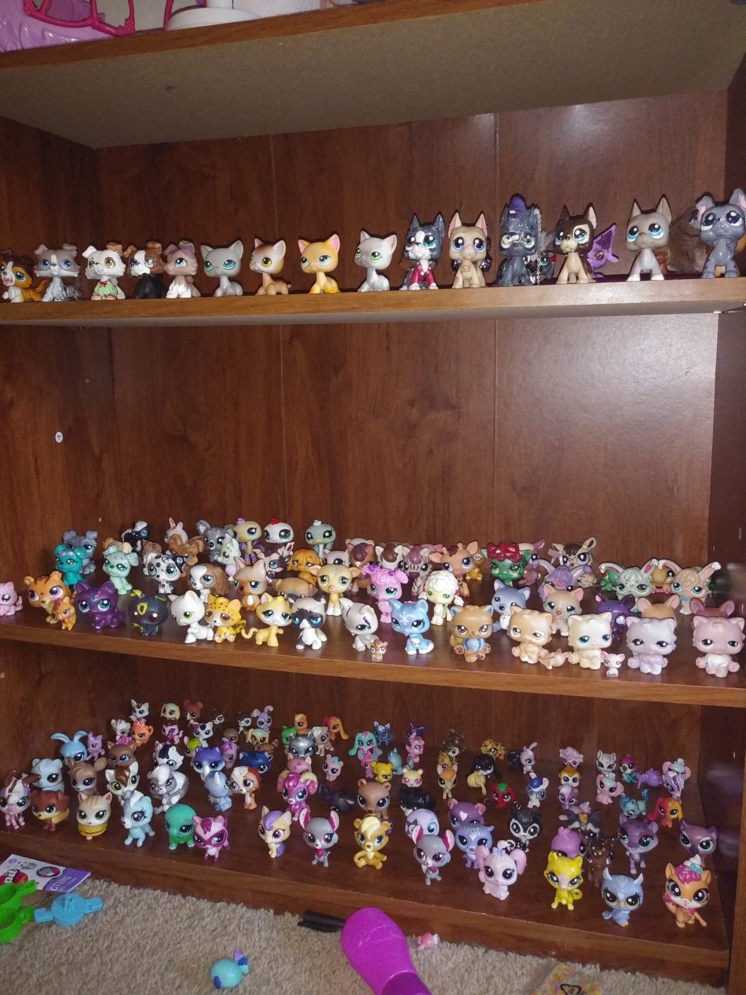 My collection | LPS Amino