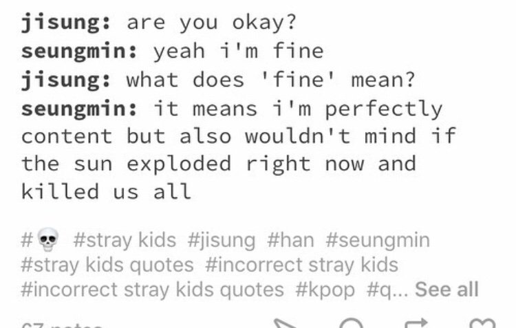 Stray kids incorrect quote pt.10 | Stray Kids Amino