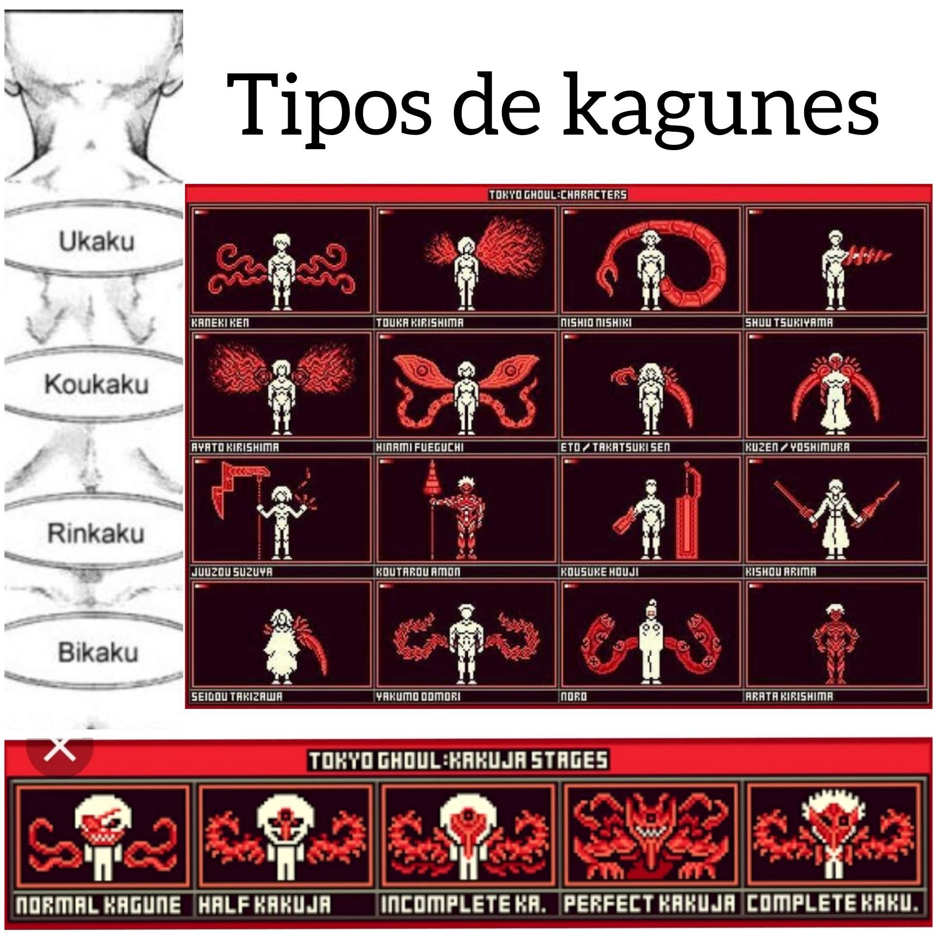 Tipos de kagunes | •Anime• Amino