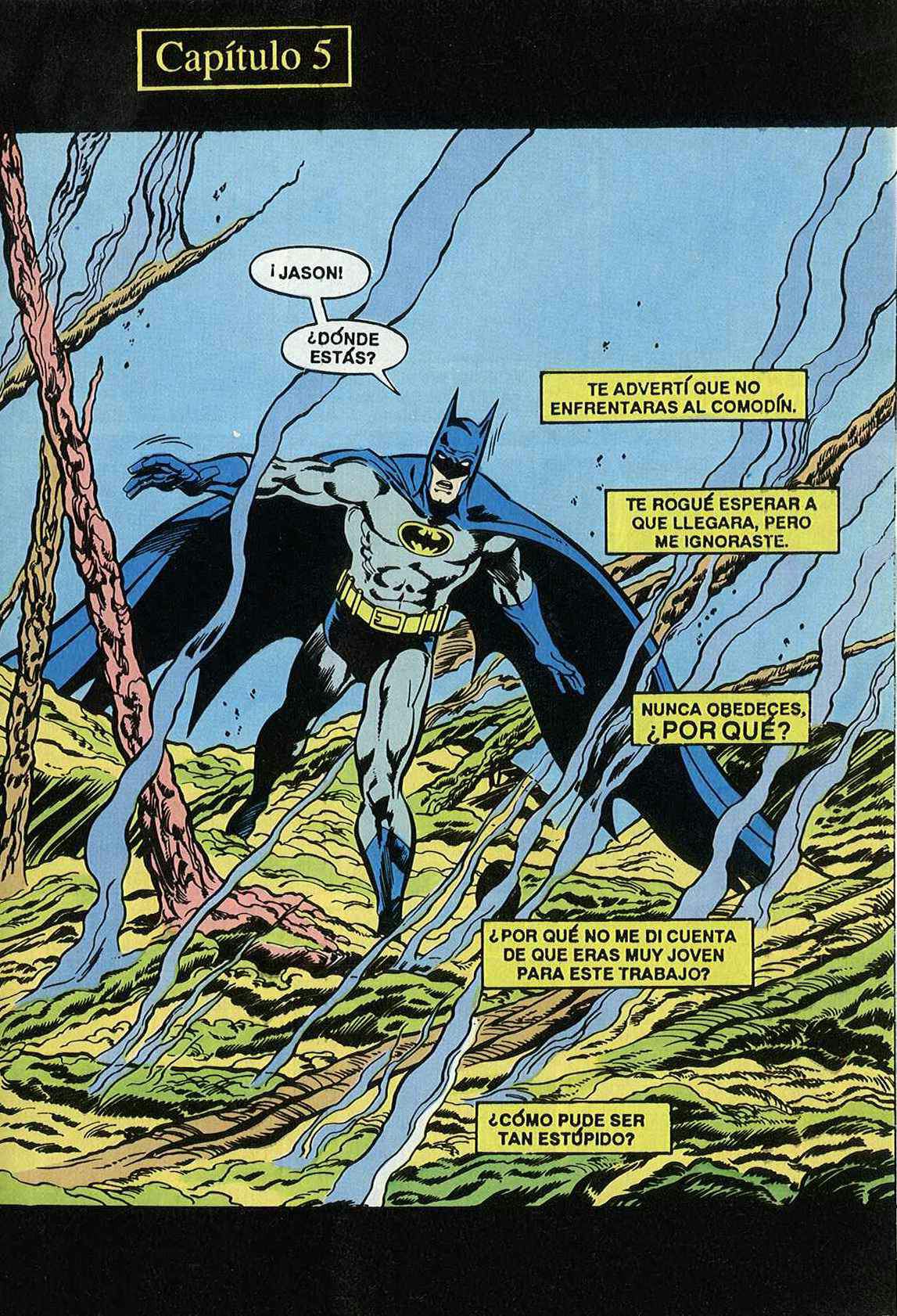 Batman: Muerte en la familia 3/3 | Wiki | •Cómics• Amino