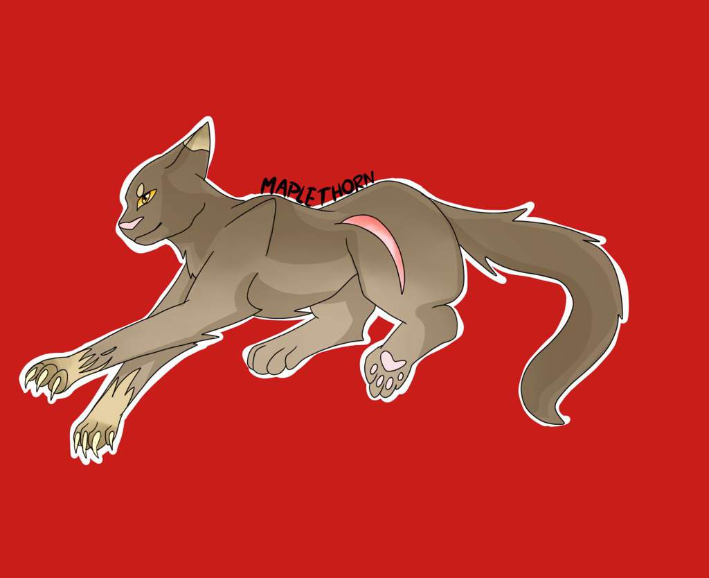 mein-warrior-cats-oc-warrior-cats-de-amino