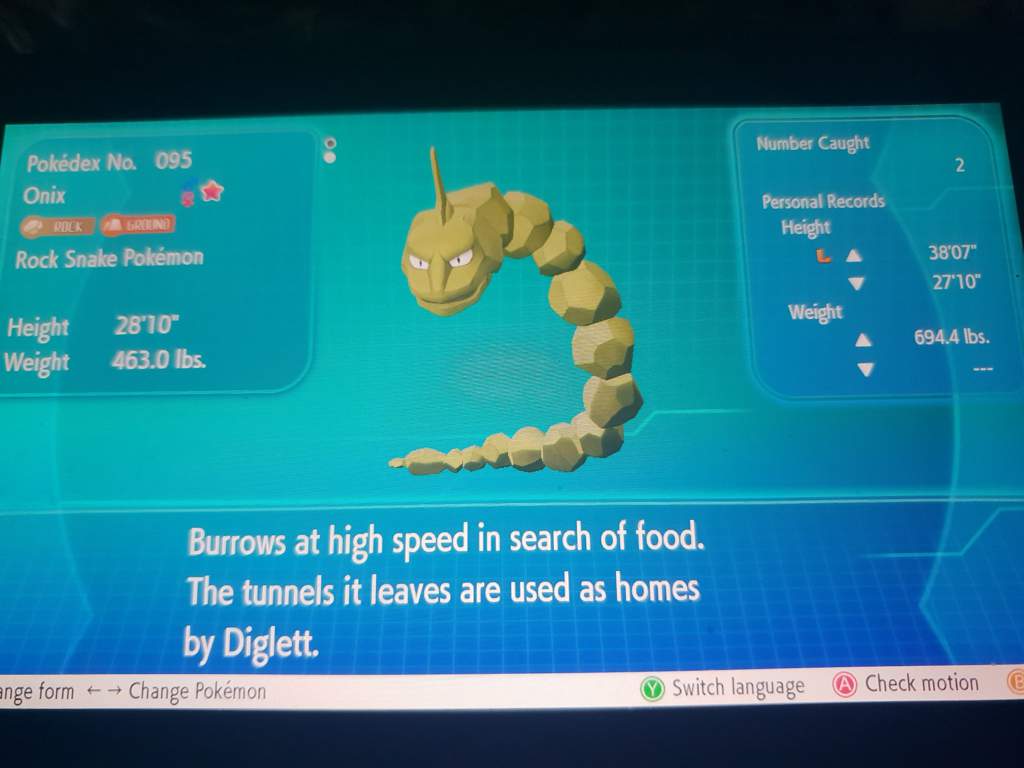 Shiny Onix Random Encounter Named Him Adonix After Connor Murphy S Aesthetics Clothing Line All Check Out Pokemon Amino