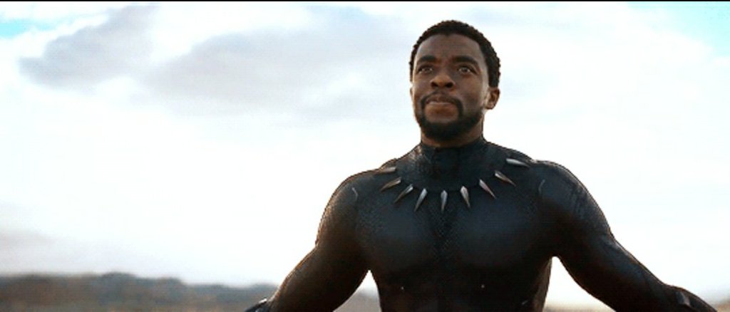 T'Challa (Mcu) | Wiki | Marvel Amino