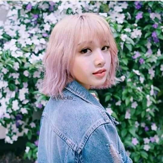 50+ Lisa Manoban Short Hair How You Like That - Gallery Of Korean Pop Idol