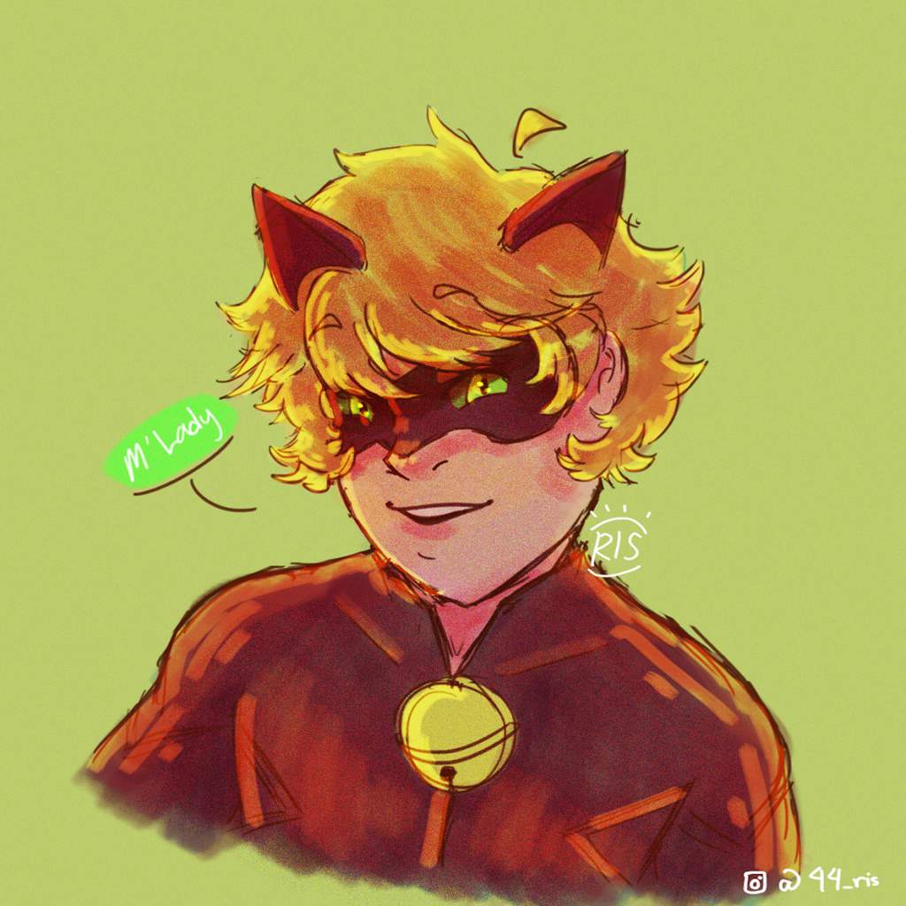 Chat Noir Blanc Miraculous Amino