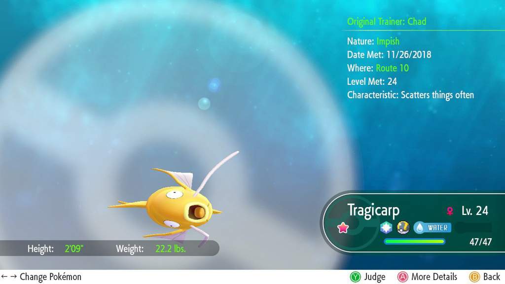 Shiny Magikarp Random Encounter Lets Go Eevee