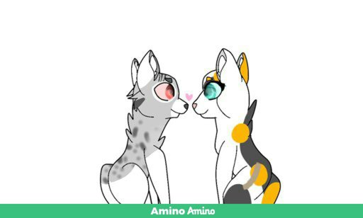 Featured Warrior S Cats Amino English Amino