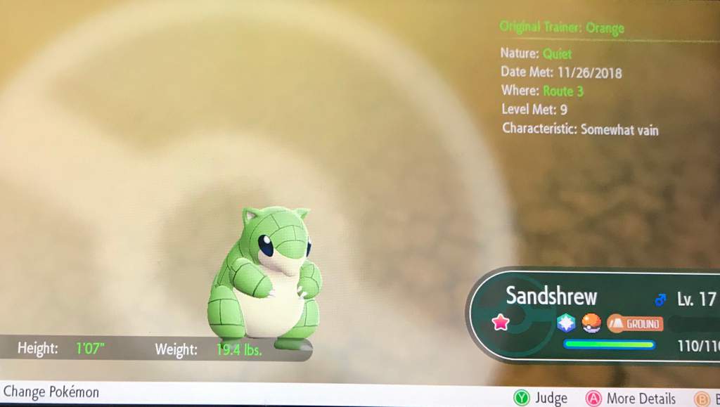 Shiny Sandshrew Pokémon Amino