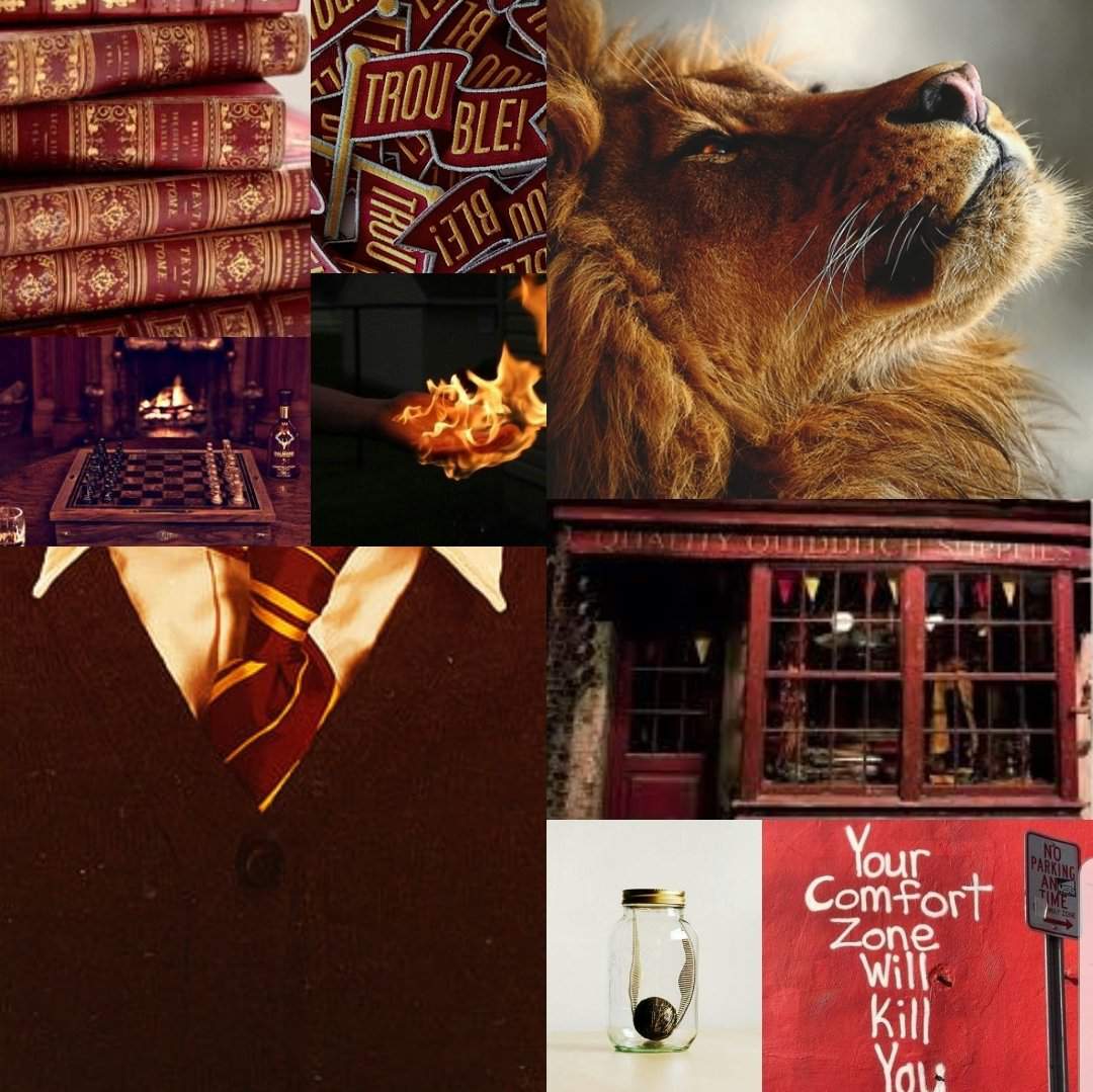 Gryffindor Aesthetic/Moodboard | Harry Potter Amino