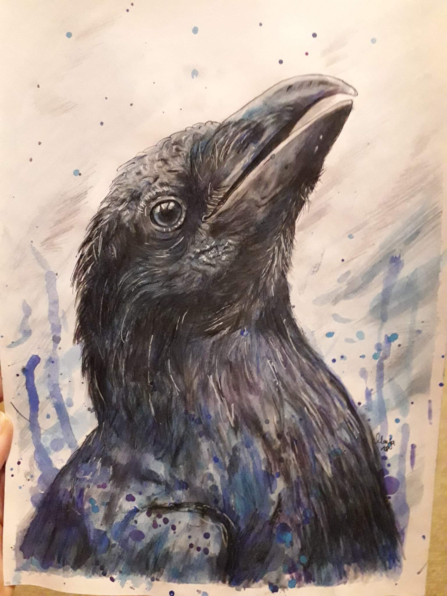 Crow | Art Amino