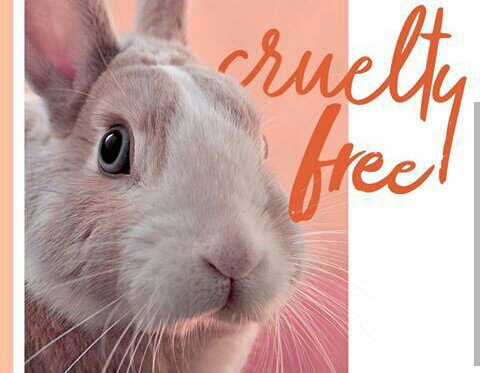 CRUELTY FREE (Natura). | Zona de Belleza Amino