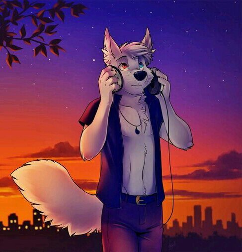 Shared Folder | ~•† Фурри Яой †•~ Amino
