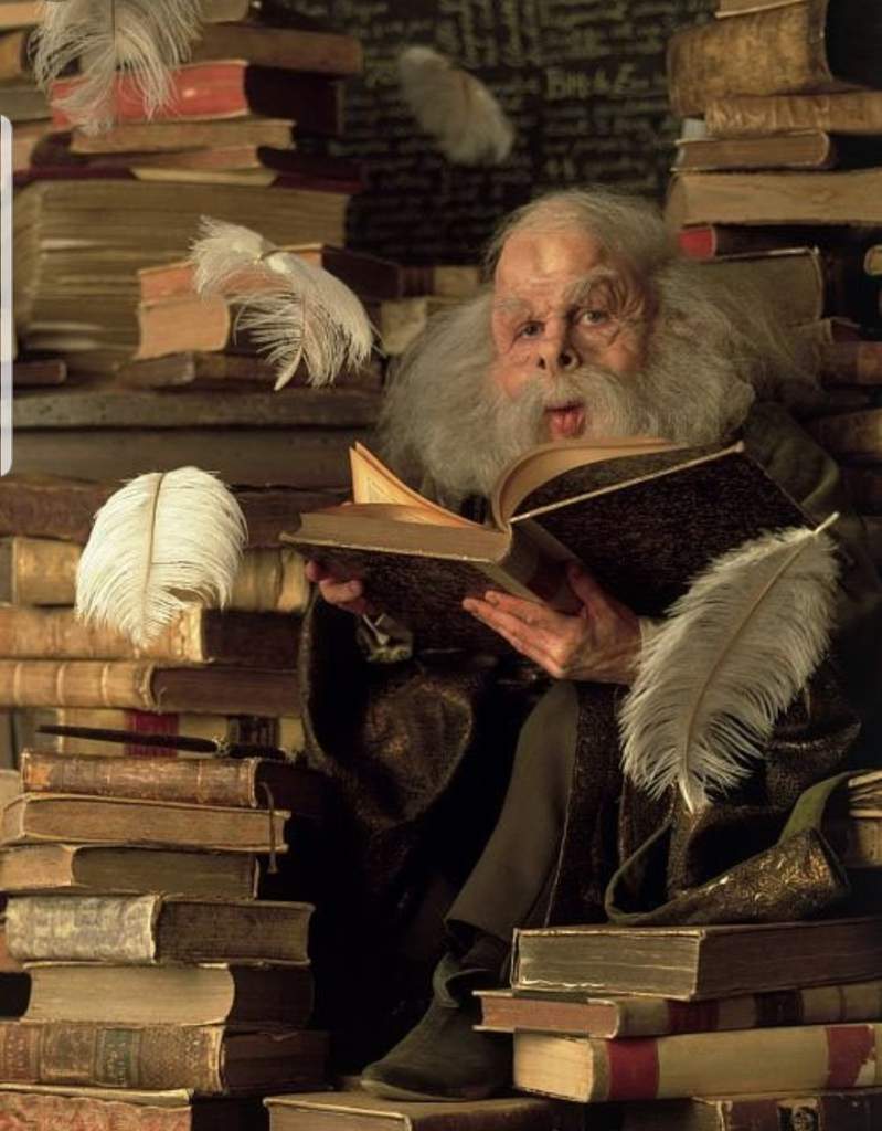 Filius Flitwick Wiki Harry Potter (FR) Amino