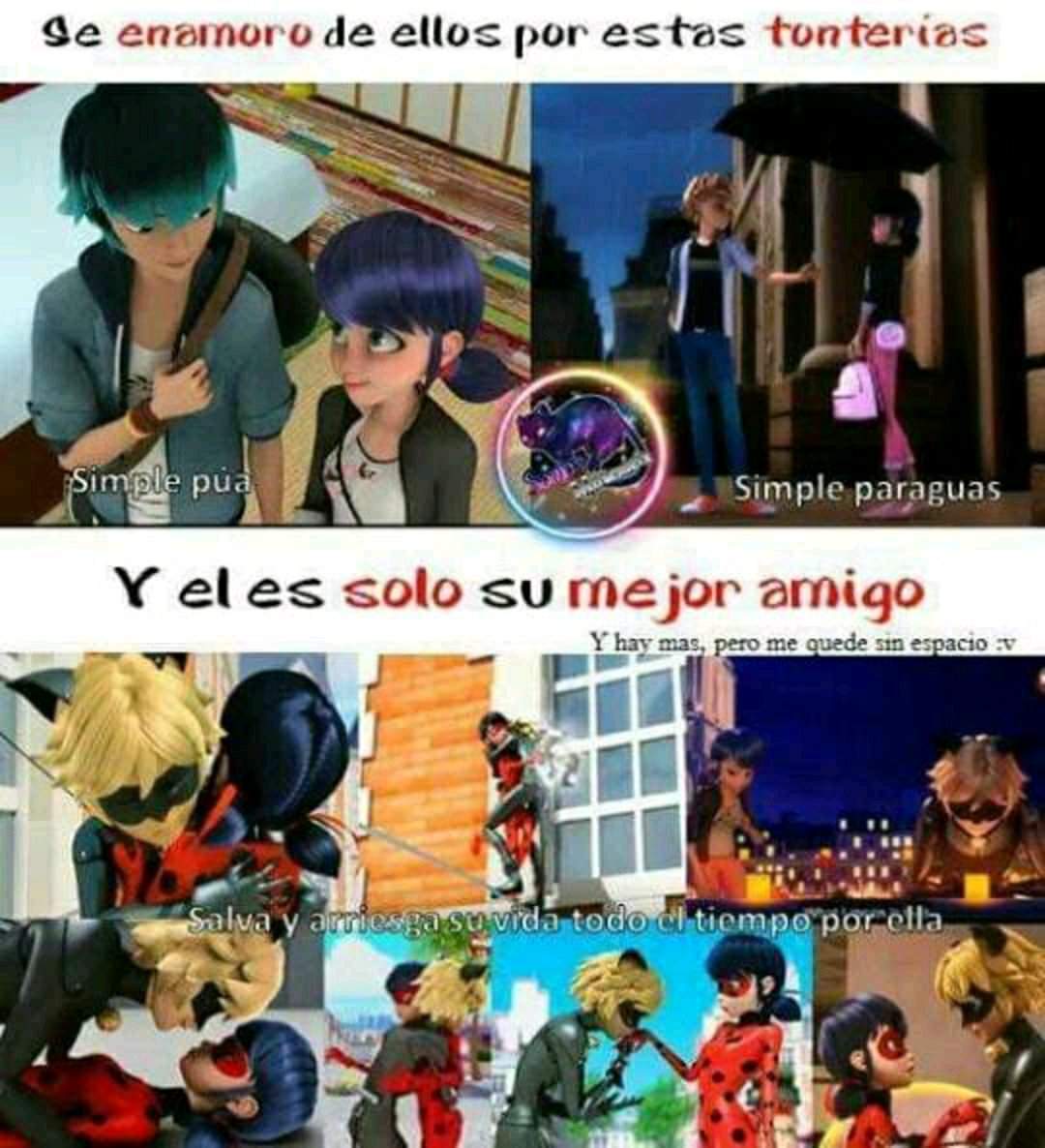 Pobre CHAT NOIR😿 | •Miraculous Ladybug Español• Amino