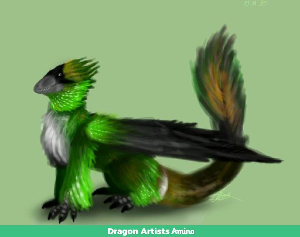 Bird-Dragon Challenge winners! | Dragon Artists Amino