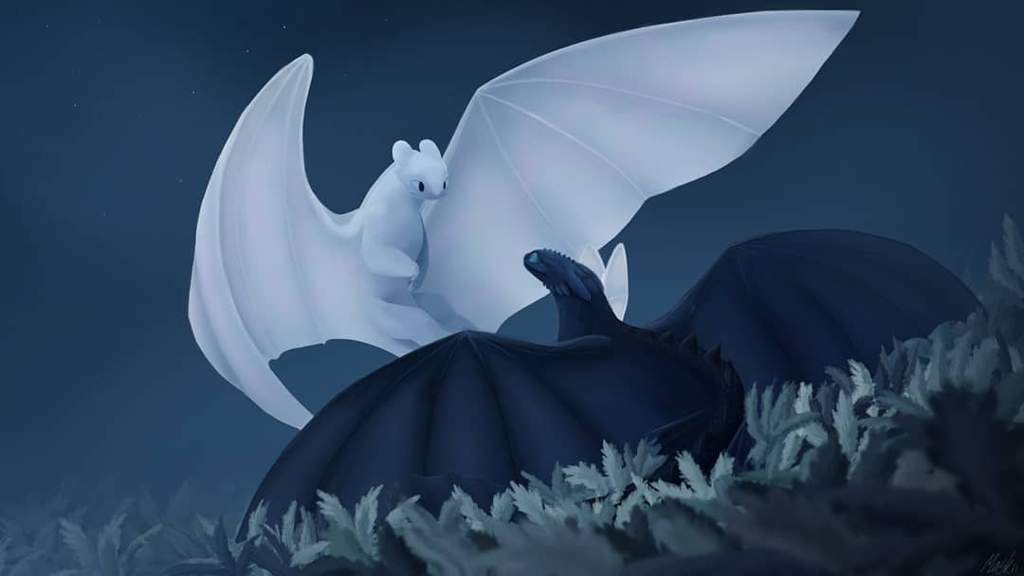 Toothless And Lightfury H T T Y D Amino
