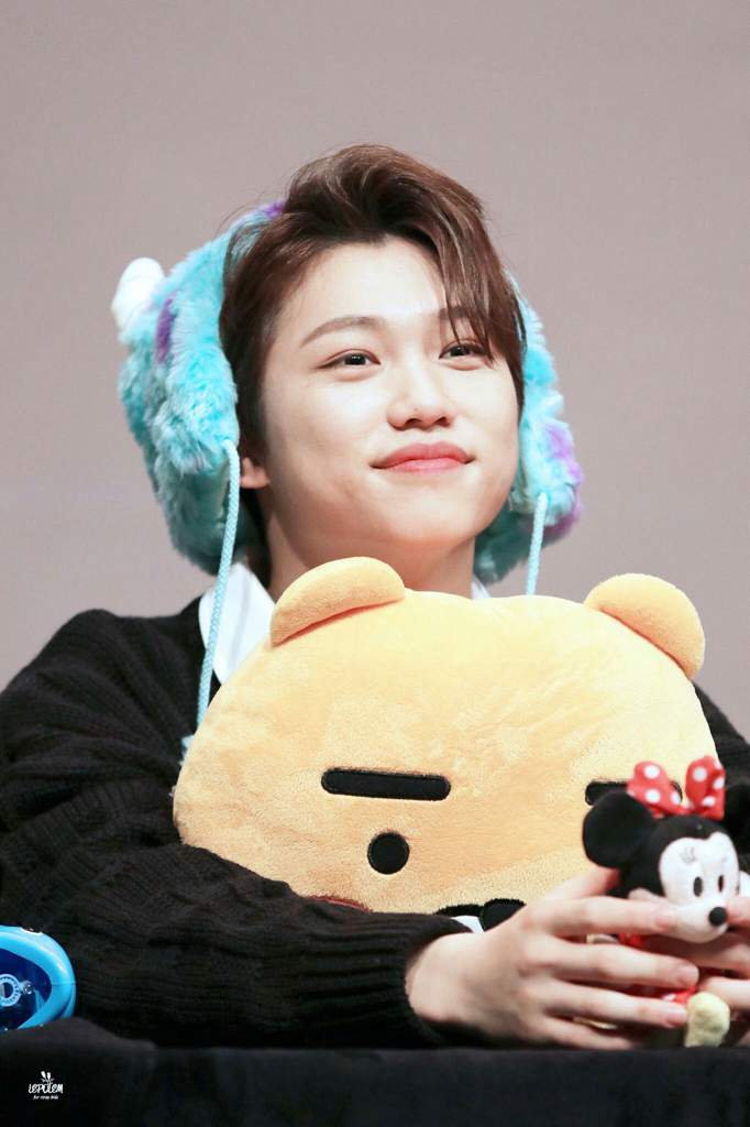 Stray Kids With Their Plushies = Adorable | Stray Kids Amino