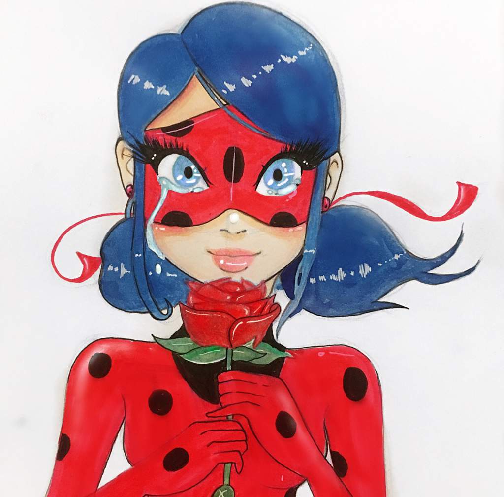 Ladybug with a rose 🌹 | Miraculous Amino