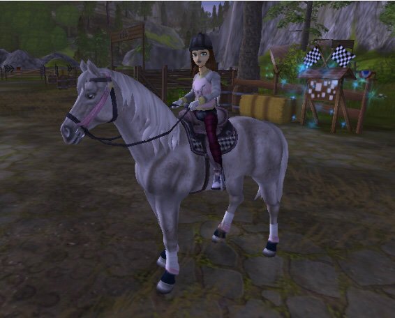 Should I Get The Fleabitten Etb? | Star Stable Online Amino