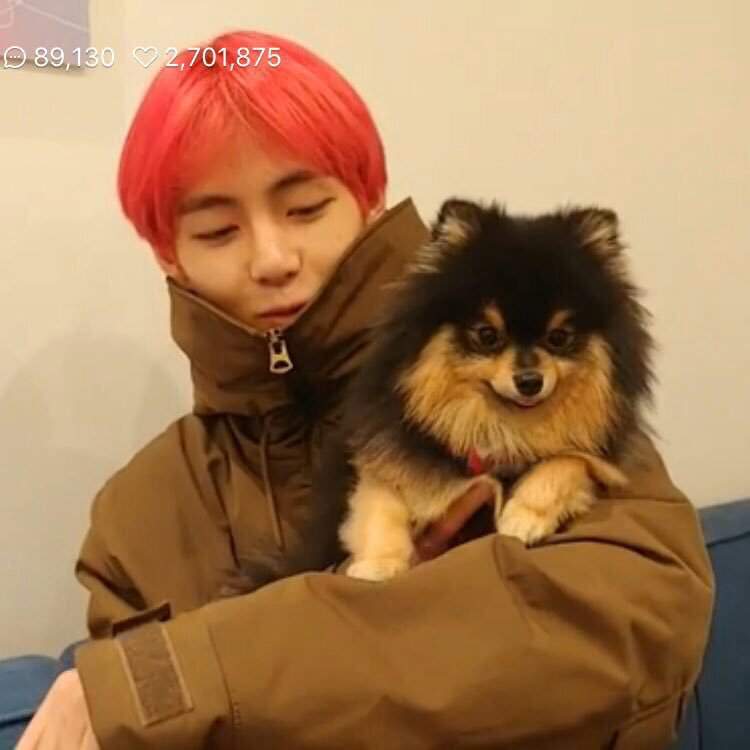 🐶x🐯|TAE X YEONTAN VLIVE!! 181205 | V K O O K Amino