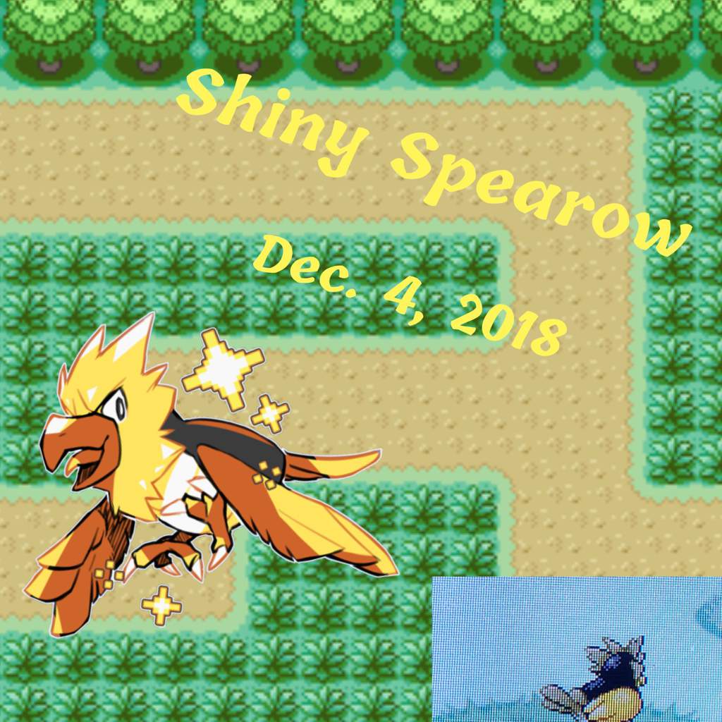 Shiny Spearow On Pokémon Fire Red Gen 3 Shiny Pokemon