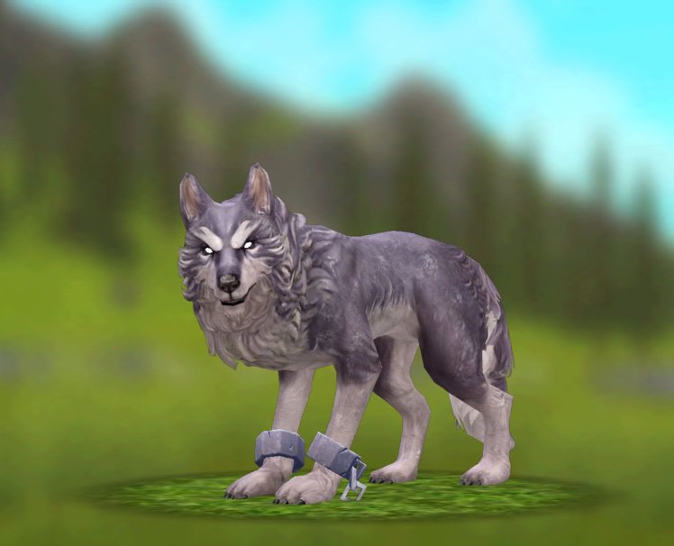 Kimba | Wiki | 🌳WildCraft🌳 Amino