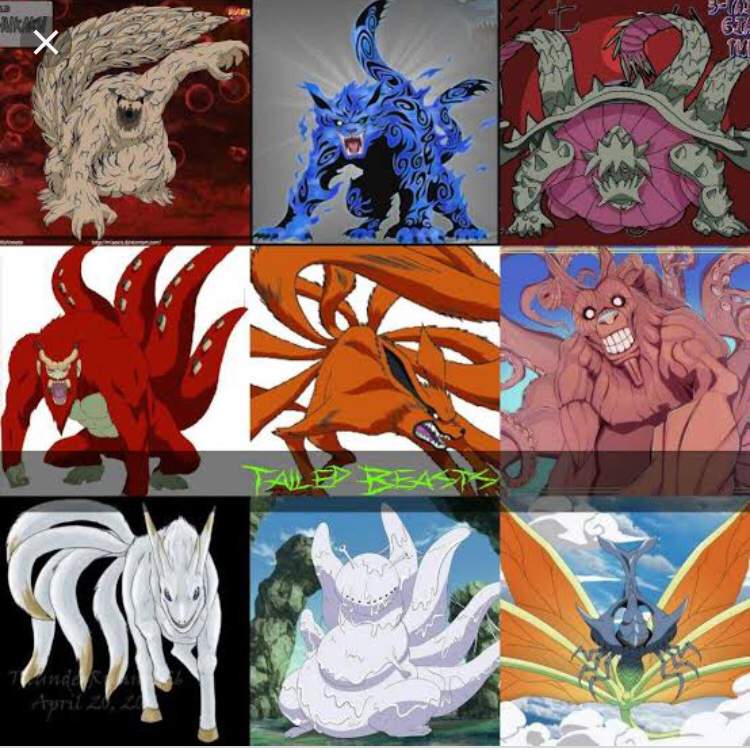 Tailed Beast Rules | Wiki | Naruto Reborn World Amino