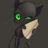 amino-Cat Noir-d0cd7519