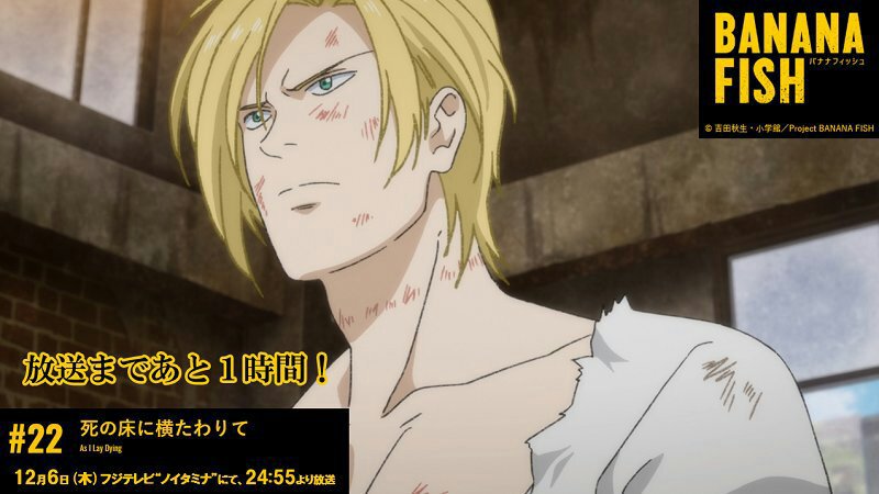 Lista De Capitulos Anime Manga Banana Fish Espanol Amino