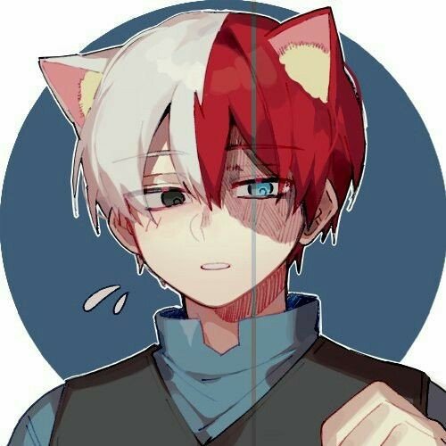 Neko Todoroki | My Hero Academia Amino