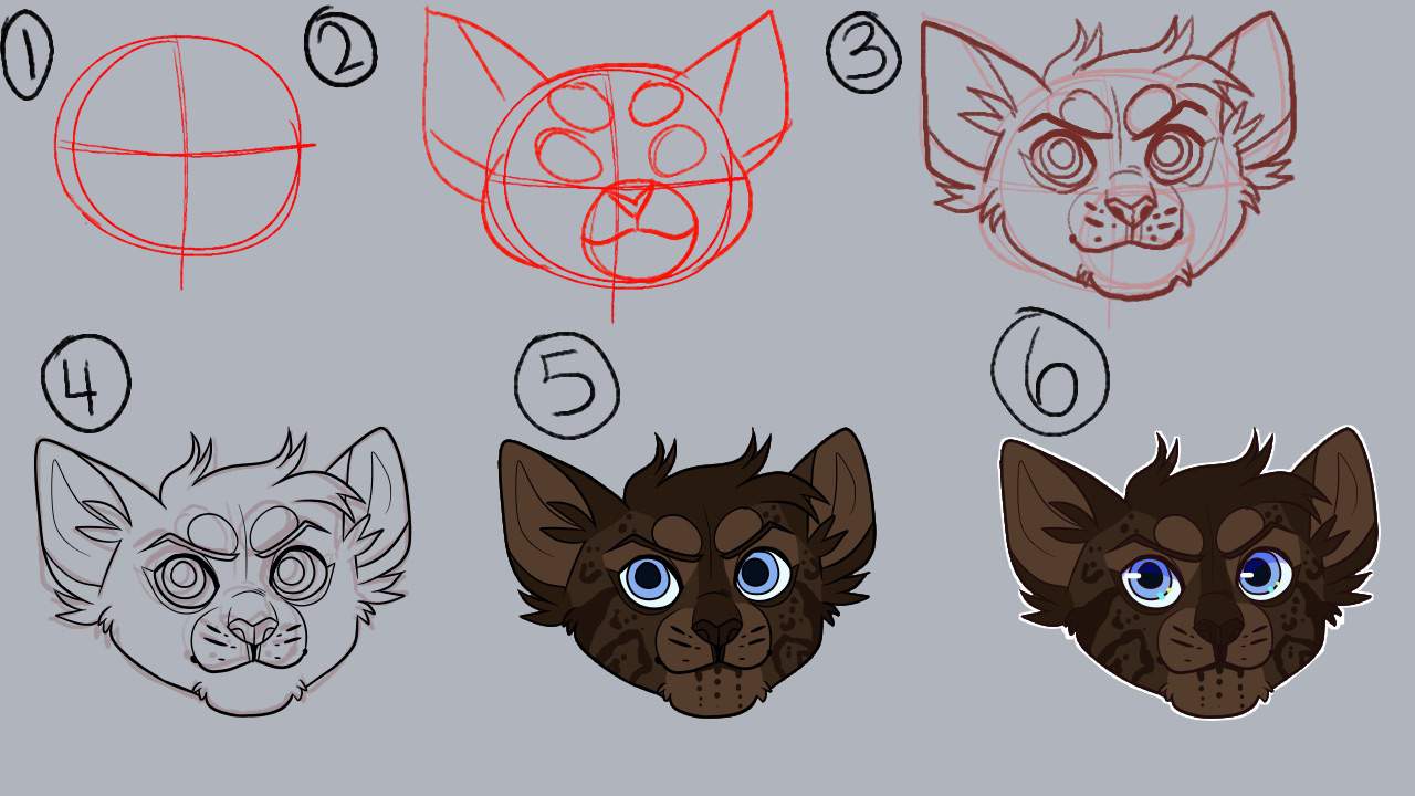 Cat Head Tutorial/Character Diversity Tutorial | Warriors Amino