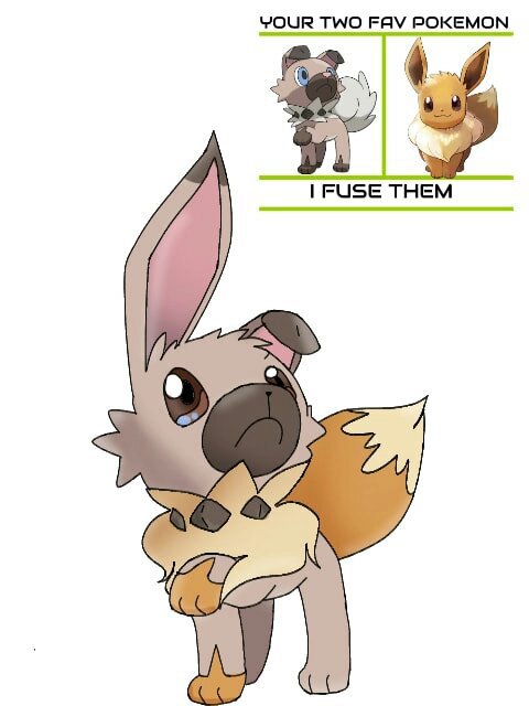 Rockruff and eevee fusion! | Pokémon Amino