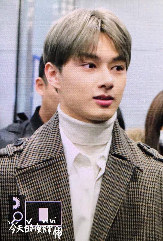 Junhui Has Ash Grey Hair Wenjunhui Amino