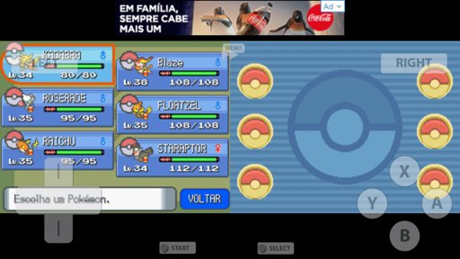 Finalmente campeão da liga pokemon Pokémon Amino Em Português Amino
