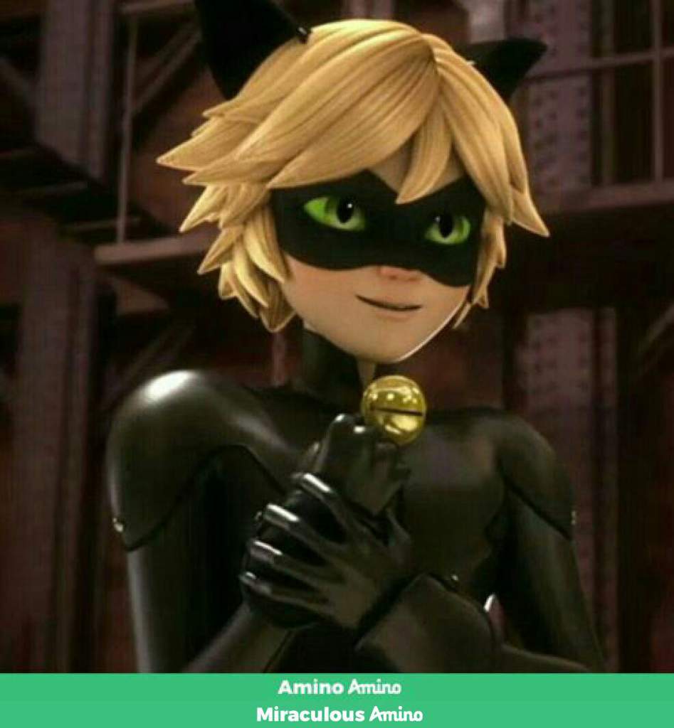 Chat Noir Guyvermaster Miraculous Amino