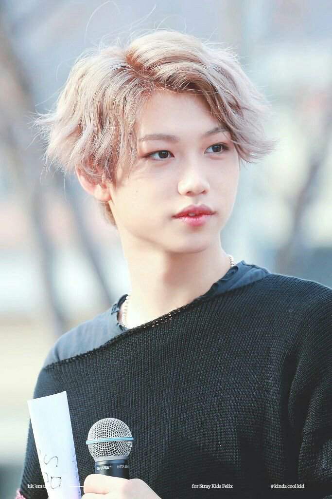 LEE FELIX | Wiki | STRAY KIDS STAN GERMAN Amino