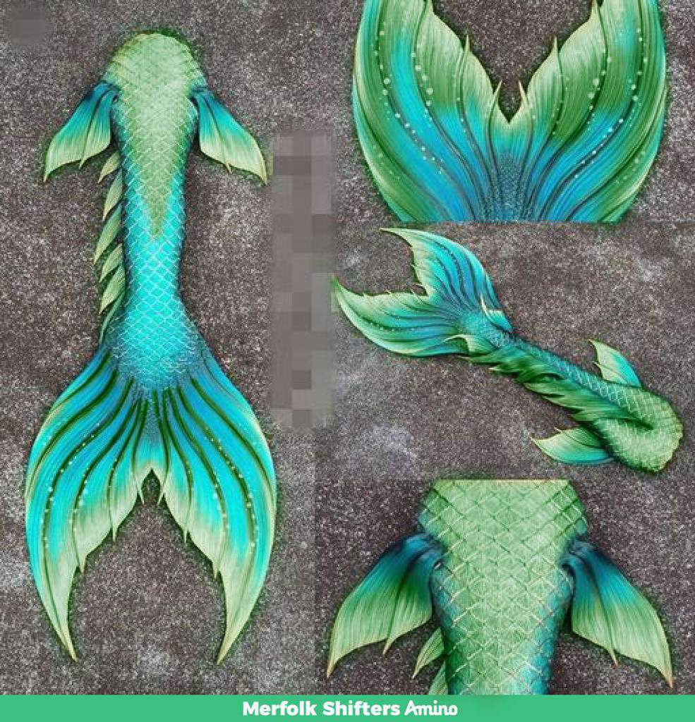 Mermaid Tails | Wiki | Merfolk Shifters Amino