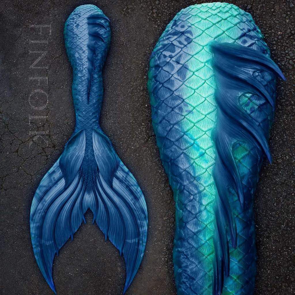 Mermaid Tails | Wiki | Merfolk Shifters Amino