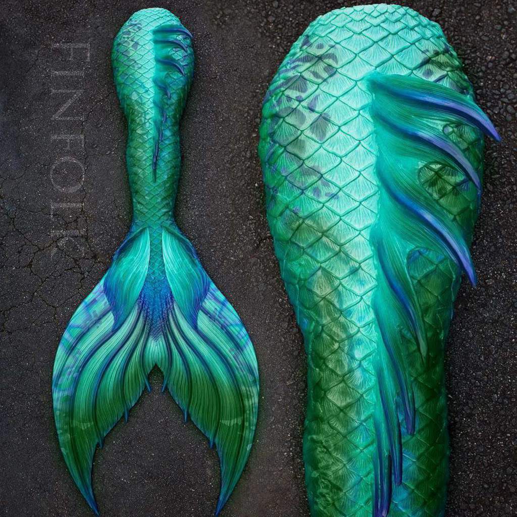 Mermaid Tails | Wiki | Merfolk Shifters Amino