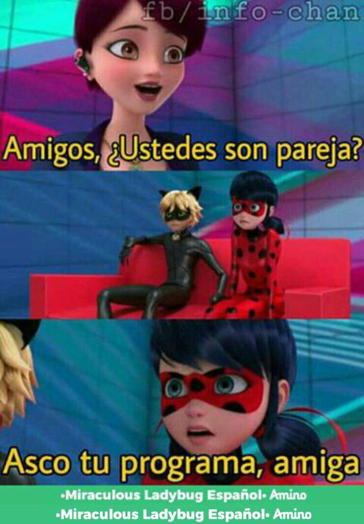 Memes | •Miraculous Ladybug Español• Amino